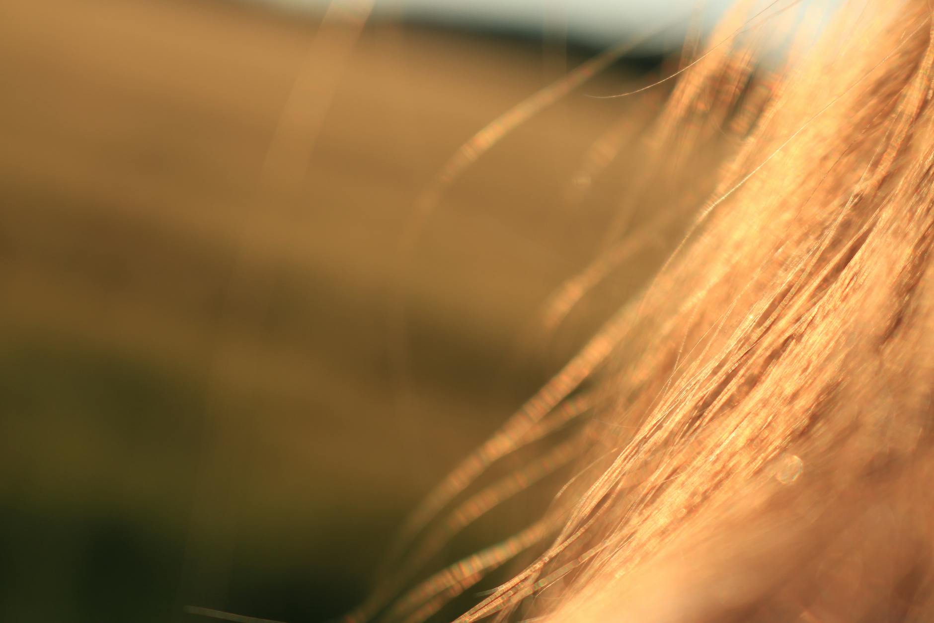 shiny_hair