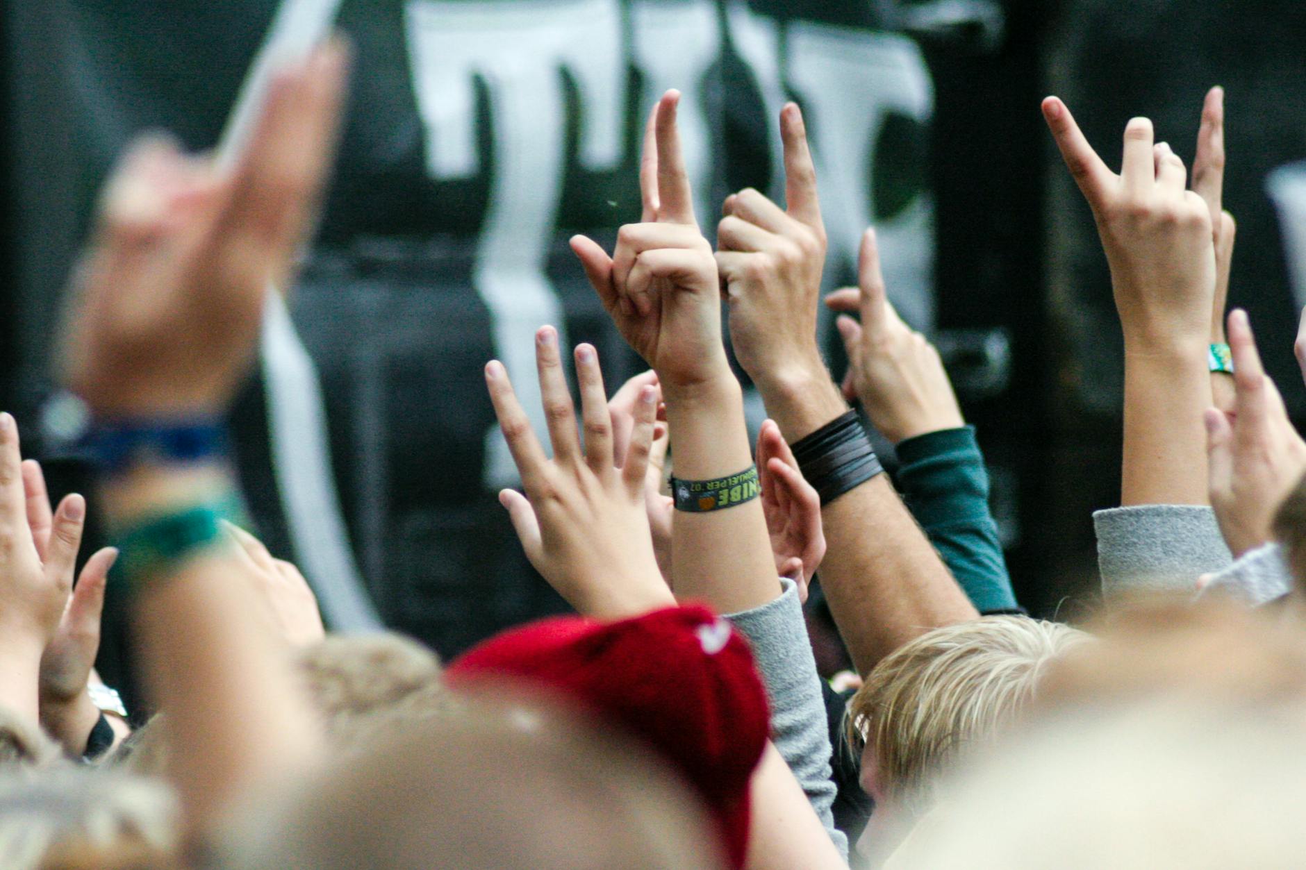 music_festival_fans