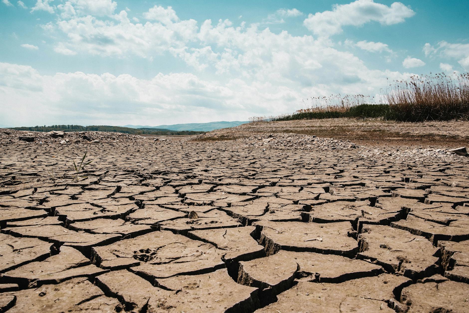 climate_change_impact
