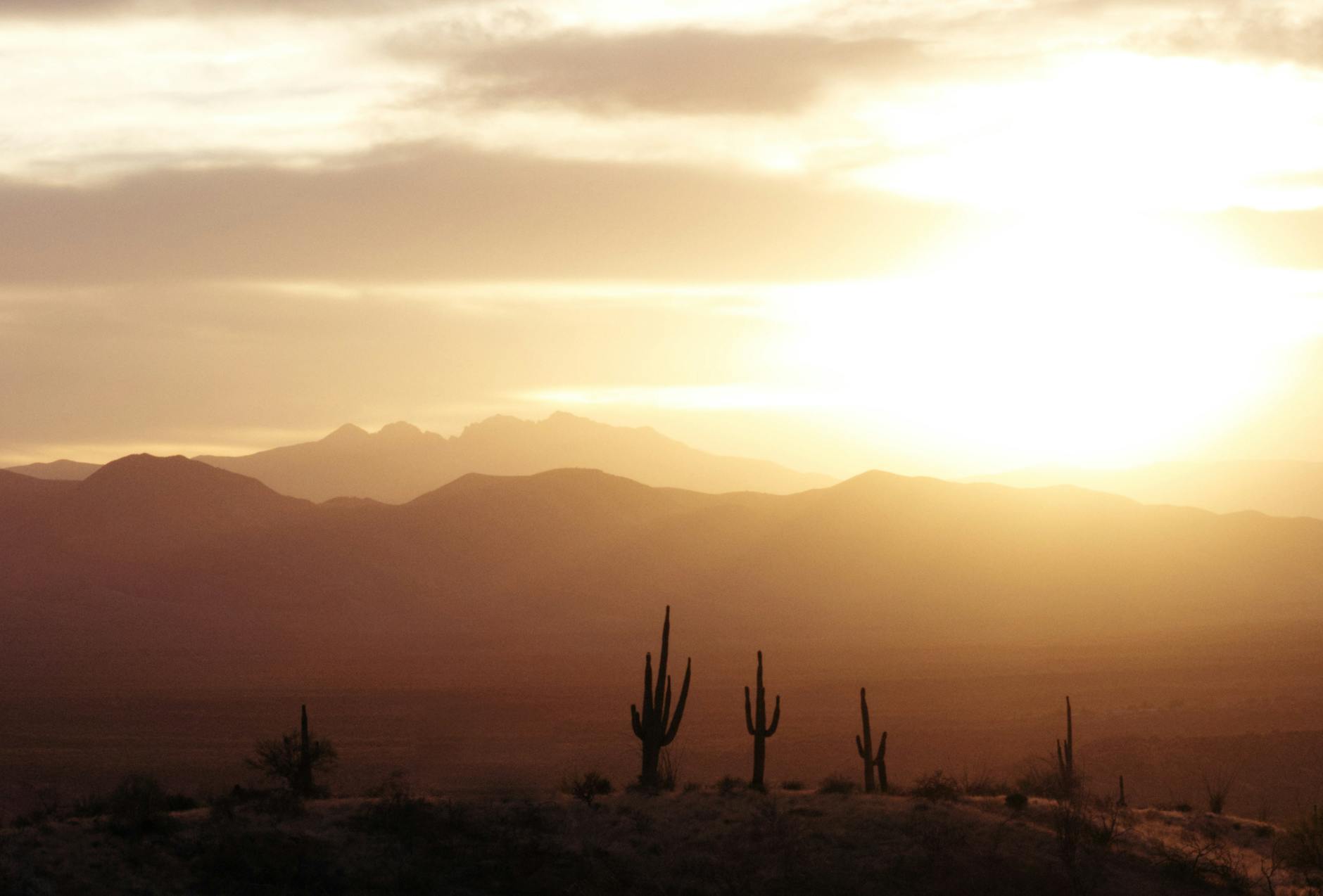 desert_glow