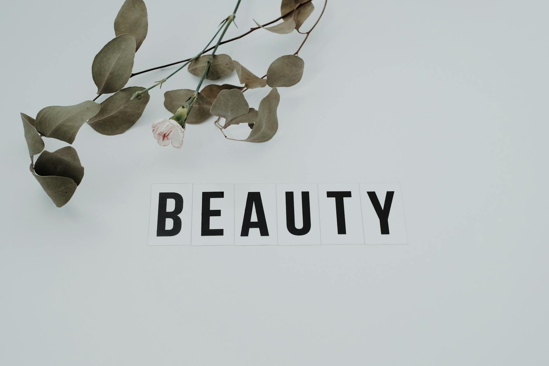 beauty_industry_trends