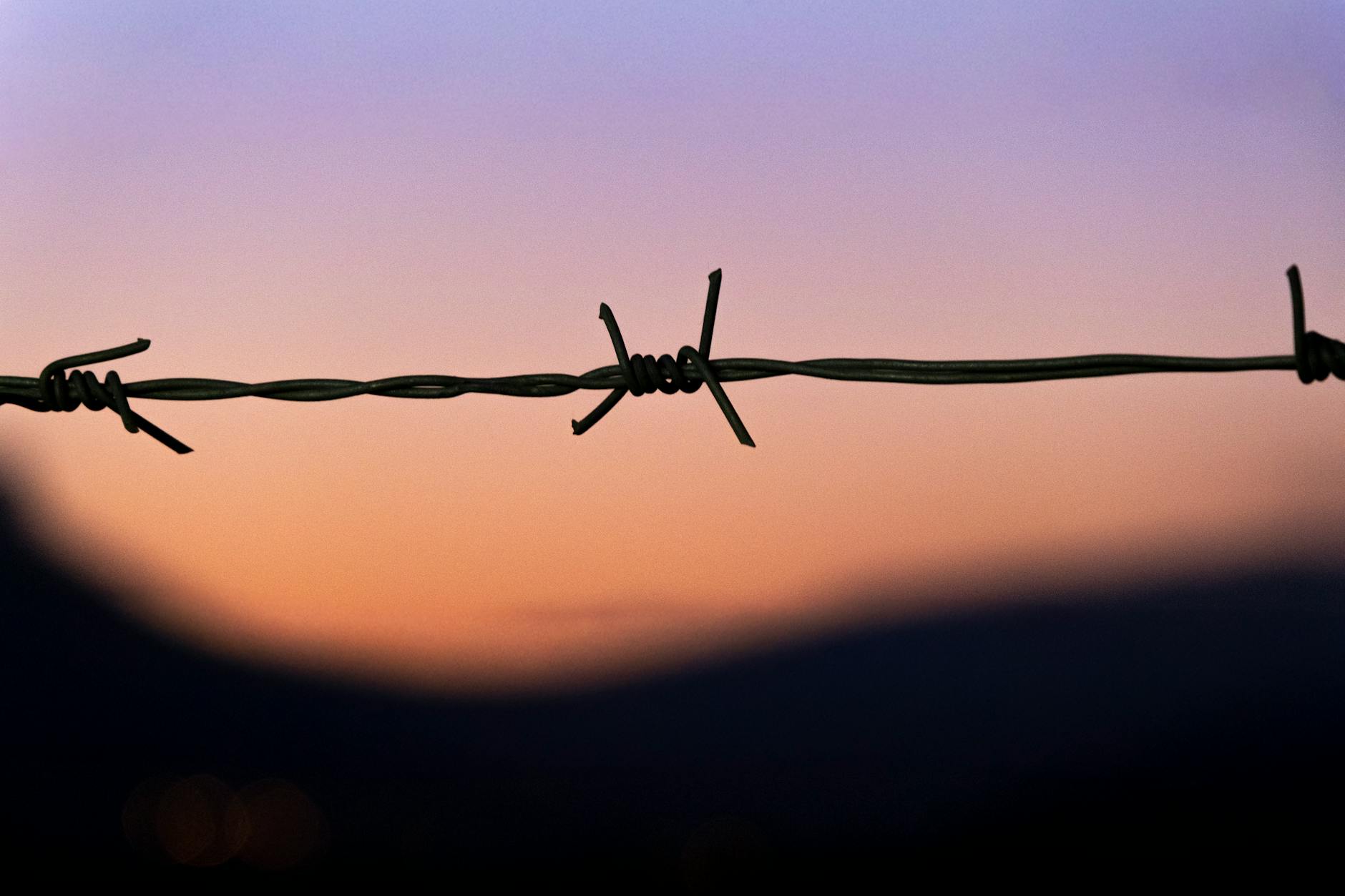 the_wire