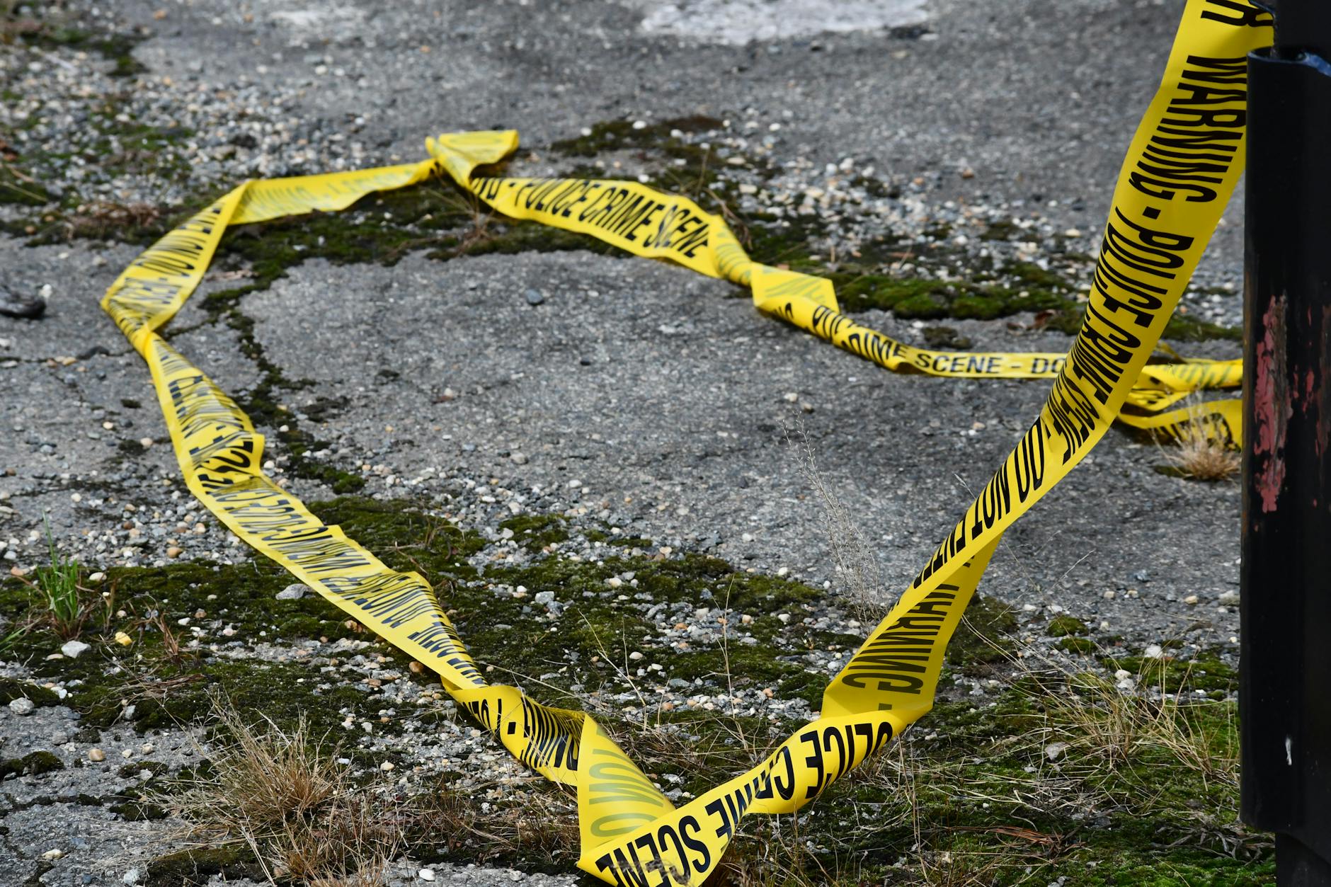 crime_scene