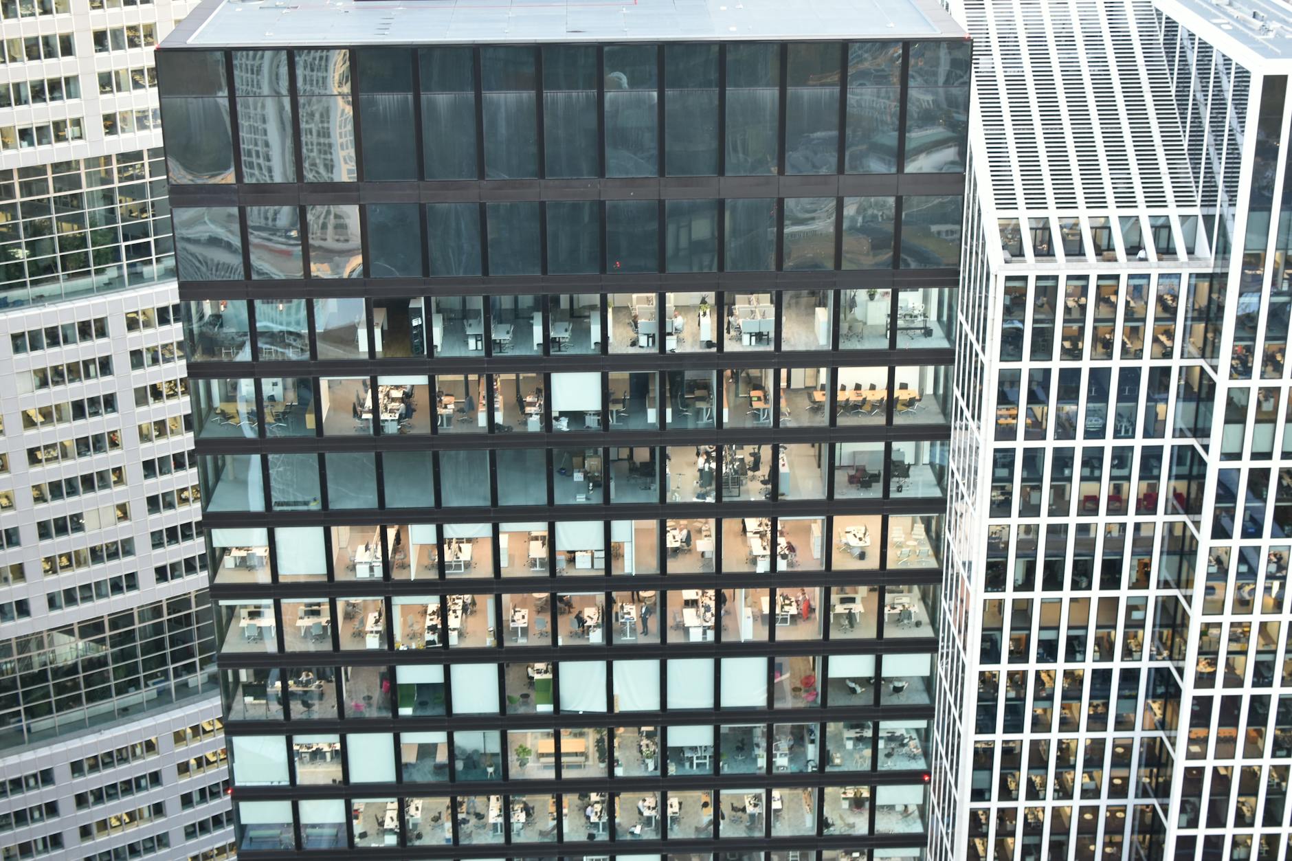 corporate_reorganization