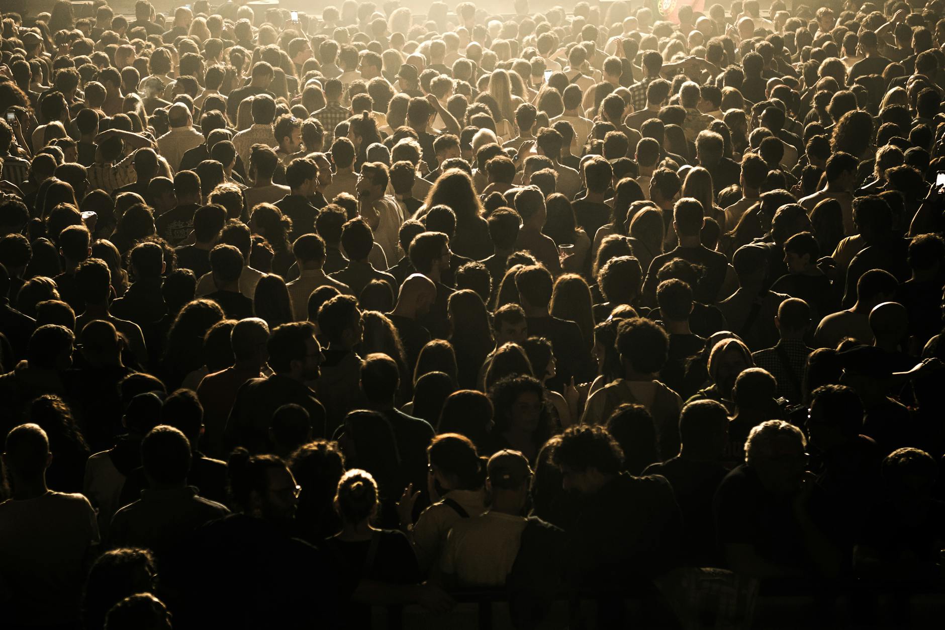 concert_audience