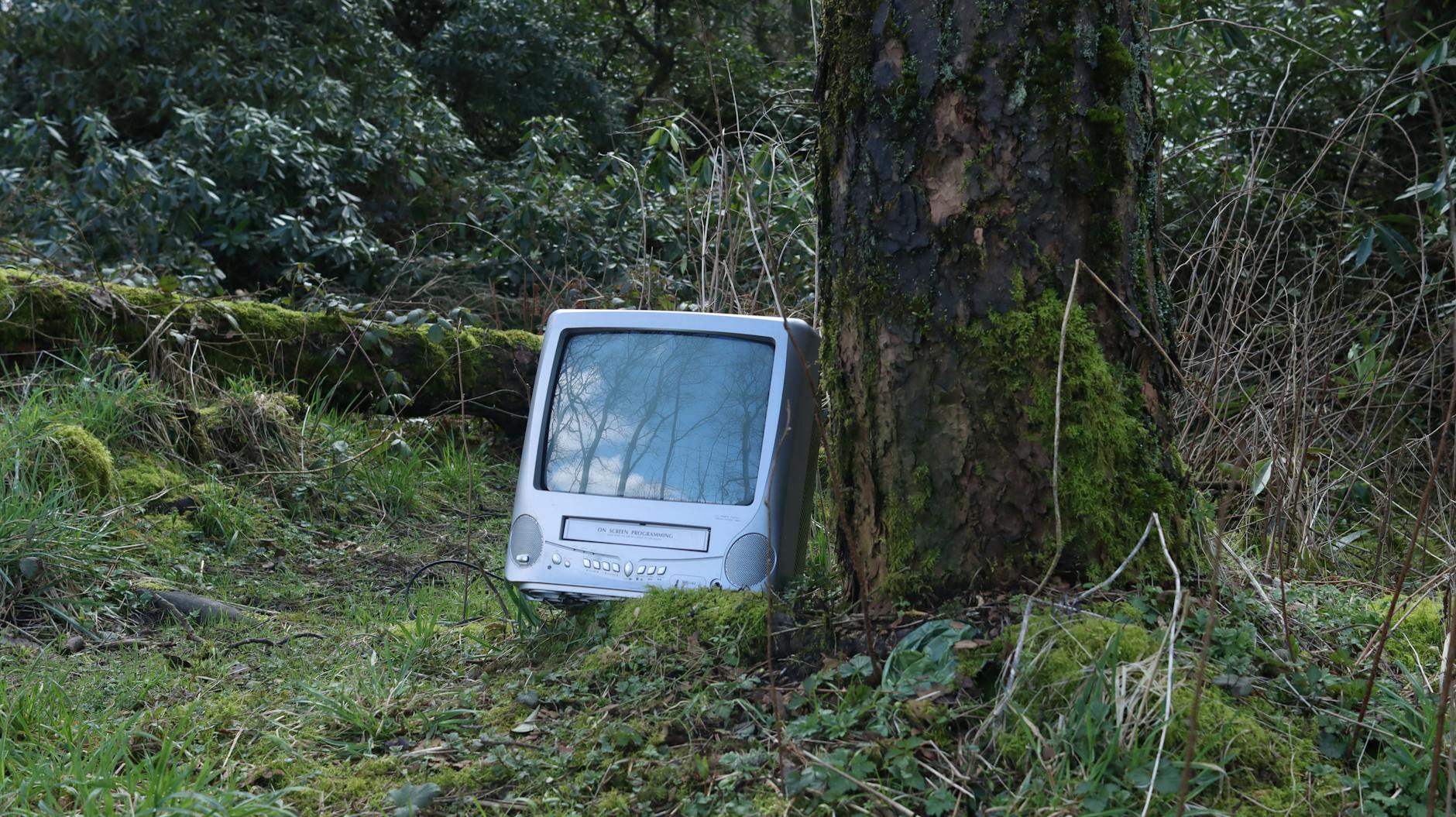 future_media_landscape
